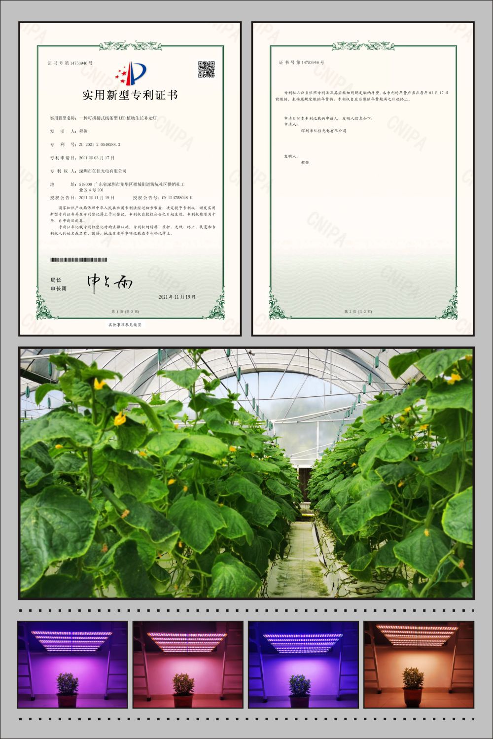 hahabet星辰大海植物农场灯实用新型专利